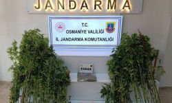 Osmaniye’de bir haftada 121 şüpheli yakalandı