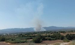 Osmaniye’nin Sumbas ilçesinde orman yangını başladı