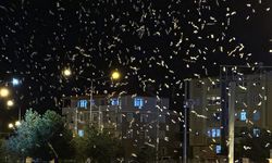 "Bir Günlükler"İn Ölüm Dansı Başladı