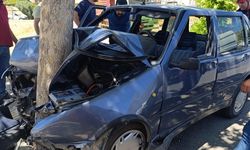 Direksiyon Hakimiyetini Kaybeden Otomobil Ağaca Çarptı: 1 Yaralı