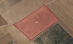 Afşin'de 17.583 M² Tarla Mahkemeden Satılık