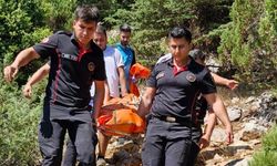 Ekşi Bitkisi Toplamak İçin Çıktığı Dağda Öldü