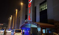 Feci Kaza: Anne Hayatını Kaybetti, Kızı Yoğun Bakımda