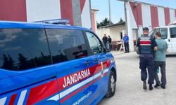 FETÖ'ye yönelik 29 ildeki operasyonlarda 49 şüpheli yakalandı