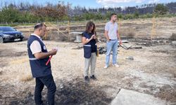 Gelibolu'daki orman yangınından etkilenen köylerde hasar tespit çalışması sürüyor