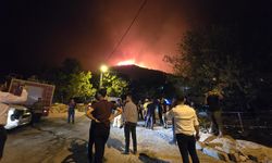 Hatay'da orman yangını: 2 mahalle tahliye edildi