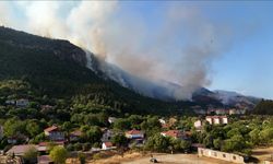 Karabük'te Ormanlık Alanda Yeniden Yangın Çıktı