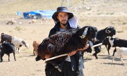 Kahramanmaraş'ta Konargöçerler Ahır Dağı Zirvesindeki Yerlerini Aldı
