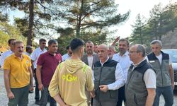 Milletvekili Kirişci, Onikişubat'ta Çamlıbel ve Çakırdere'deki Yangın Alanında İncelemelerde Bulundu