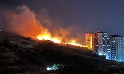 Otluk Alanda Yangın