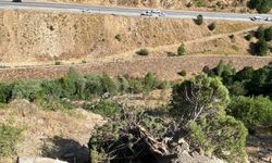 Sivas'ta İşçi Minibüsü Uçurumdan Yuvarlandı: 3 Ölü, 18 Yaralı