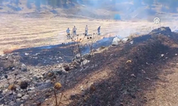 Tarım Arazisinde Çıkan Yangın Ormanlık Alana Sıçramadan Söndürüldü