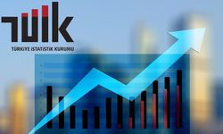 Türkiye İstatistik Kurumu Bilişim Personeli Alacak