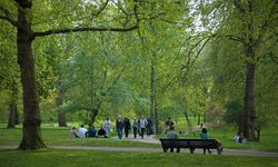 Çağlayancerit'te 3 Adet Park ve Büfesi Kiraya Verilecek