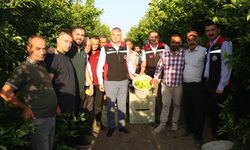 Adana Tarım ve Orman Müdürü Bayazıt, tarımsal üretim alanlarını gezdi