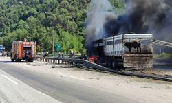 Adana'da büyükbaş hayvan yüklü tırda yangın çıktı