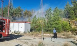 Adana'nın Karaisalı ilçesinde çıkan orman yangını söndürüldü