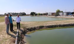 Akvaryum merakıyla başladığı balık yetiştiriciliğinde yıllık 2 milyon üretime ulaştı