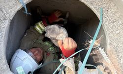 Antakya'da gider borusuna düşen köpek yavrusunu itfaiye ekibi çıkardı