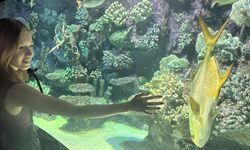 Antalya Akvaryum 28 bin balık varlığıyla yabancı turistlerin de rotasında