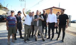 Antalya Valisi Şahin, Alanya'daki orman yangınıyla ilgili bölgede incelemelerde bulundu: