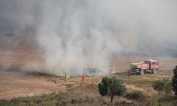 Antalya'da anızdan çıkıp zeytin bahçelerine sıçrayan yangın söndürüldü