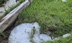 Antalya'da bir parka buz kütlesinin düşmesi güvenlik kamerasında