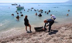 Antalya'da kıyı ve deniz dibi temizliği yapıldı