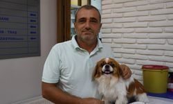 Araç çarpması nedeniyle yürüme güçlüğü çeken köpek, fizik tedaviyle sağlığına kavuştu