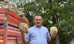 Burdur'da yaklaşık 75 bin ton kristal şeker üretilecek
