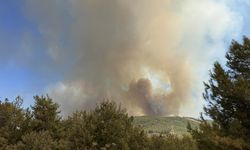 GÜNCELLEME 3 - Antalya'nın Alanya ilçesinde ormanlık alanlarda çıkan yangınlara müdahale sürüyor