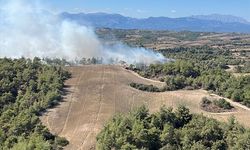GÜNCELLEME - Adana'nın Sarıçam ilçesinde çıkan orman yangını kontrol altına alındı