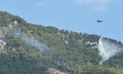 GÜNCELLEME - Antalya'da çıkan orman yangını kontrol altına alındı