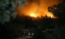 GÜNCELLEME - Antalya'nın Alanya ilçesinde ormanlık alanda yangın çıktı