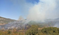 Burdur'da ormanlık alanda çıkan yangın kontrol altına alındı