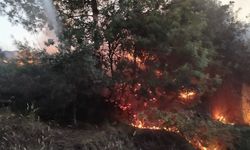 Hatay'da çıkan orman yangını söndürüldü