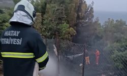 Hatay'da ormanlık alanda çıkan yangın söndürüldü