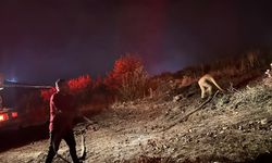 Isparta'da çıkan orman yangını söndürüldü