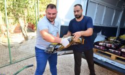 Kumluca'da sporcular kazandıkları ödülü barınaktaki hayvanlara mama alınması için bağışladı