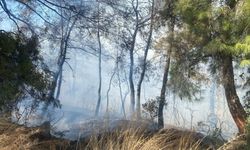 Manavgat'ta tarım arazisinde başlayan yangın ormanlık alana sıçradı