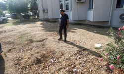Mersin'de 4 yıl önce gömülen Fin balinasının iskeleti bilimsel çalışma için çıkarılacak