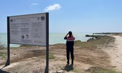 Mersin'de jandarma doğada denetimlerde bulundu