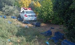 Mersin'de otomobilin zeytin toplayan işçilere çarptığı kazada 1 kişi öldü, 3 kişi yaralandı