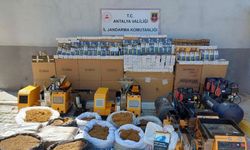 Alanya’da kaçak tütün operasyonu