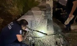 Antakya’da beton boru içinde sıkışan kedi kurtarıldı