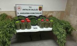 Antalya’da 43 kilo uyuşturucu madde ele geçirildi