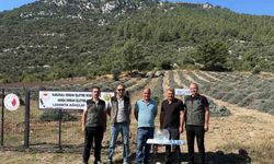 Bakımını yapan kullanım hakkını elde edecek
