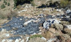 Burdur’da çalılık alanda yangın