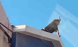 Elindeki bıçakla korku dolu anlar yaşatan şahsı ekipler ikna etti