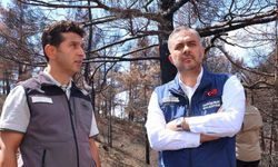 Kahramanmaraş’ta  yanan ormanlık alanlar fidanlarla buluşturulacak